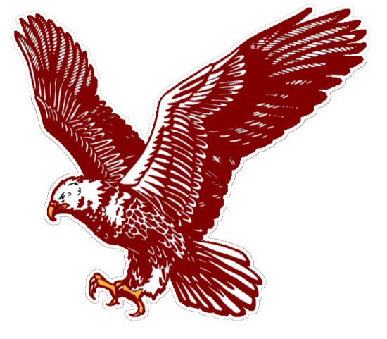 Picture of In-service Professional Development 