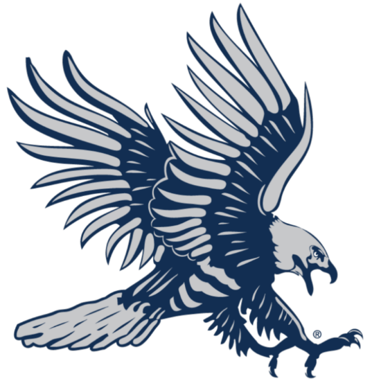 Picture of 2026 DSU Youth Volleyball Camp